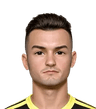 Amar Sejdic