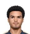 Nathan Harriel