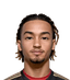 Jayden Hibbert