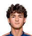 Andrei Chirila