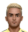Andy Najar