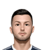 Lewis Morgan