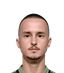 Zan Kolmanic