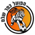 Hapoel Kfar Shalem logo