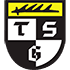 TSG Balingen logo