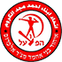 Ihud Bnei Majd al-Krum logo