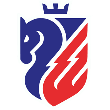 Botosani logo