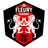 FC Fleury 91