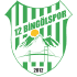 12 Bingolspor logo