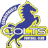 Cumbernauld Colts logo