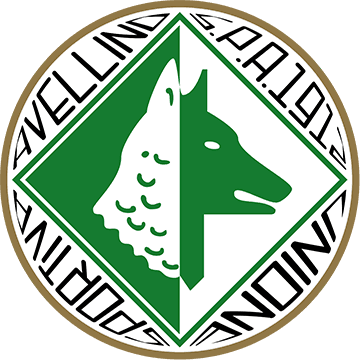 Avellino logo
