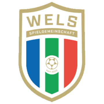 SPG HOGO Wels logo