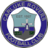 Carluke Rovers FC logo