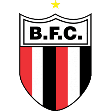 Botafogo SP logo