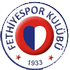Fethiyespor logo