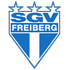 Freiberg logo